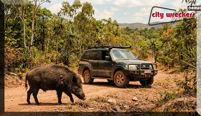 best used cars darwin mitsubishi pajero for sale palmerston nt