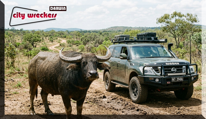 best used cars darwin nissan patrol for sale palmerston nt