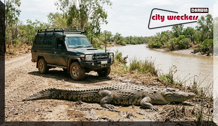 best used cars darwin toyota landcruiser for sale palmerston nt